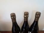 2020 Legrand-Latour, Ypresien, Eocene, Luthetien - Champagne, Nieuw