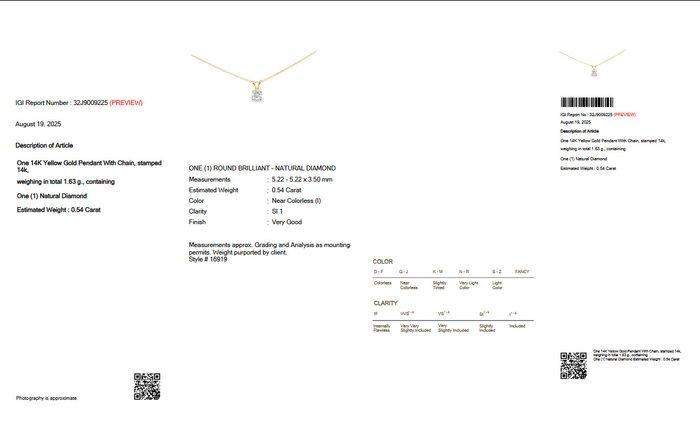 Zonder Minimumprijs - Ketting met hanger - 14 karaat Geel, Handtassen en Accessoires, Antieke sieraden