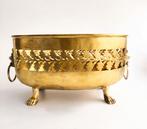 Jardinière - Brons, gepolijst messing - Cachepot