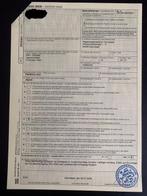 Jaguar Taxidermie volledige montage - Panthera onca - with, Verzamelen, Dierenverzamelingen, Nieuw