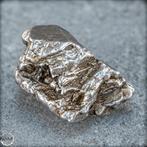 Zeldzame natuurlijke meteoriet Campo del Cielo IJzer