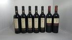 1999 Viñas del Vero Gran Vos Reserva x5 & 1999 Merlot x2 -, Nieuw
