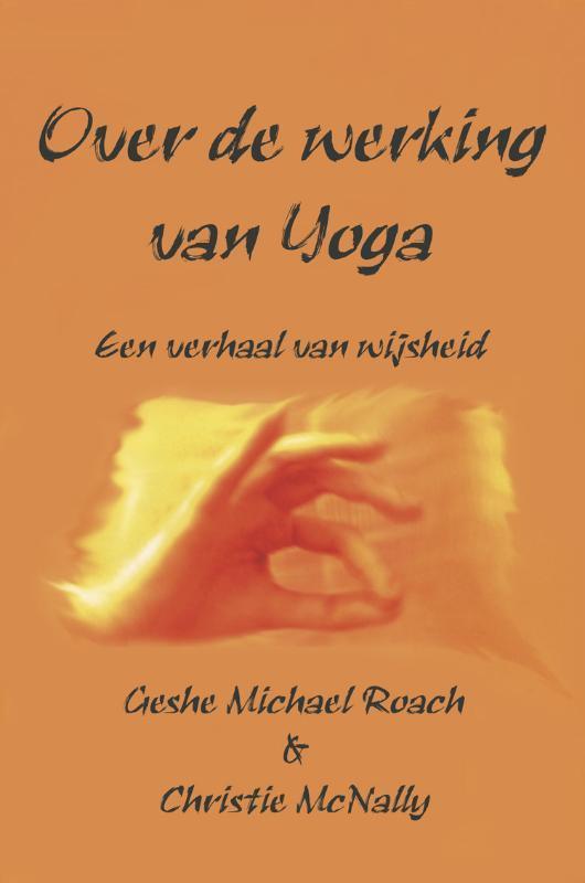 Over de werking van Yoga 9789075636758 Christie MacNally, Boeken, Esoterie en Spiritualiteit, Gelezen, Verzenden