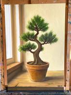 Alex Mro - Bonsai Textured, Antiek en Kunst
