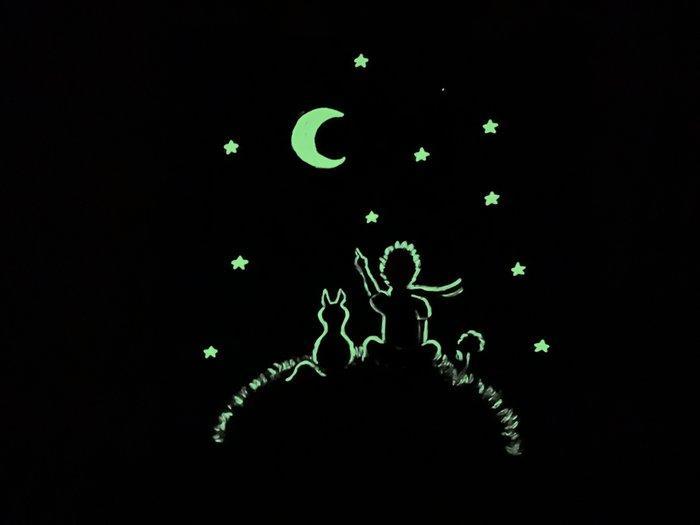 Maria Gubicekova (Maia) - Le Petit Prince (glows in dark, 3D, Antiek en Kunst, Kunst | Schilderijen | Modern