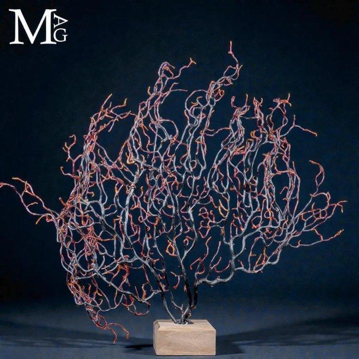 Natuurlijke zwarte Gorgonia - Een moderne Wunderkammer -, Antiek en Kunst, Curiosa en Brocante