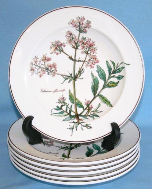 Villeroy & Boch - Ensemble de bols à soupe (6) - Botanica -, Antiek en Kunst, Antiek | Meubels | Tafels