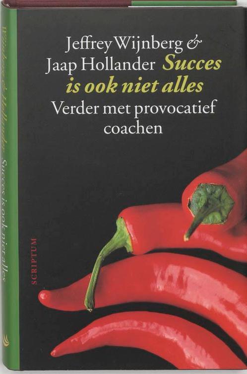 Succes is ook niet alles 9789055943838 J. Wijnberg, Boeken, Psychologie, Zo goed als nieuw, Verzenden