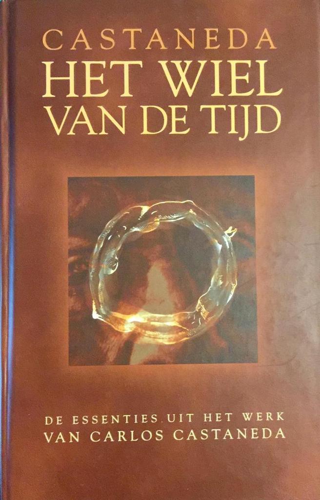 WIEL VAN DE TIJD 9789021586946 C. Castaneda, Boeken, Filosofie, Gelezen, Verzenden