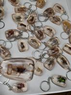 Figure - Verzameling van 35 opgezette insecten  (35) -, Verzamelen, Dierenverzamelingen, Nieuw