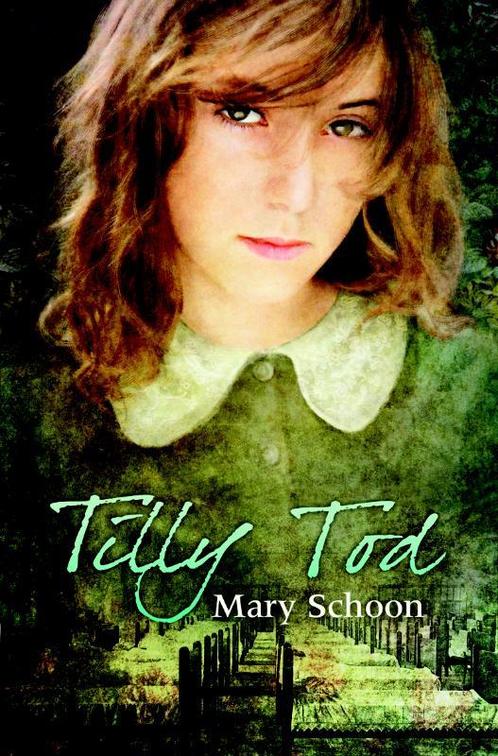 Tilly Tod 9789020530384 Mary Schoon, Livres, Livres régionalistes & Romans régionalistes, Envoi