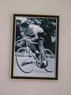 Tour de France - Eddy Merckx - Photograph