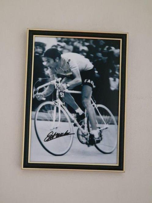 Tour de France - Eddy Merckx - Photograph, Collections, Collections Autre