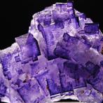 Lichtgevende fluoriet, intens paars, China Kristallen op, Verzamelen, Mineralen en Fossielen