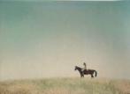 Stefanie Schneider - Days of Heaven IX (Stefanie Schneider)