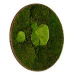 Mosschilderij Rond 80 cm Donker Eiken - Esbjerg, Verzenden, Nieuw
