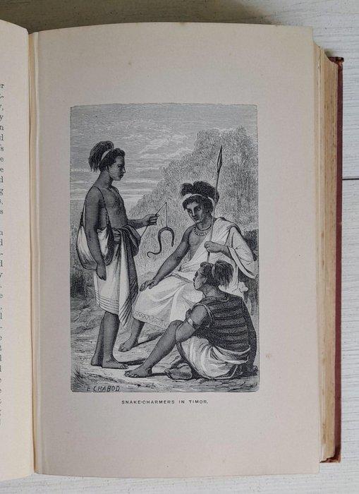 W.H. Davenport Adams - The Eastern Archipelago - 1880, Antiek en Kunst, Antiek | Boeken en Manuscripten