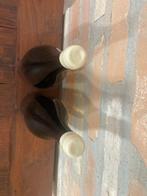 2021 Patrick Piuze, Terroir de Chablis - Chablis - 2 Magnums