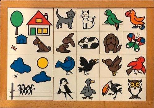 Educo Lotto Dieren in de lucht en om het huis, Boeken, Schoolboeken, Verzenden