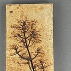 Moderne du milieu de siècle Carreau - Roger Capron - Moderne