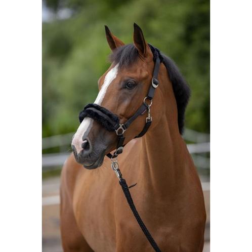 Licol classicsoft pony black - kerbl, Animaux & Accessoires, Chevaux & Poneys | Autres trucs de cheval, Neuf