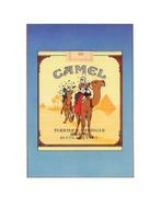 Joost Veerkamp - Camel, naar Hergé / TinTin