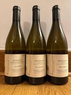 2022 Domaine de Cassiopée Bourgogne Hautes Côtes de Beaune