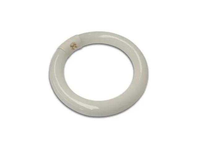 2dekans | Ronde TL-Buis 22W Voor VTLAMP2, Maison & Meubles, Lampes | Spots, Enlèvement ou Envoi