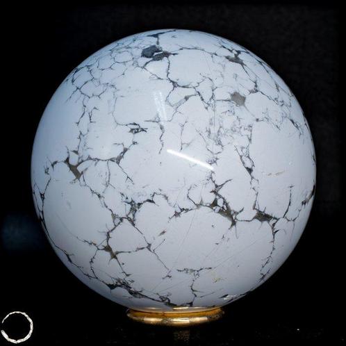 Rare boule de howlite naturelle du Canada Chef-dœuvre de la, Verzamelen, Dierenverzamelingen
