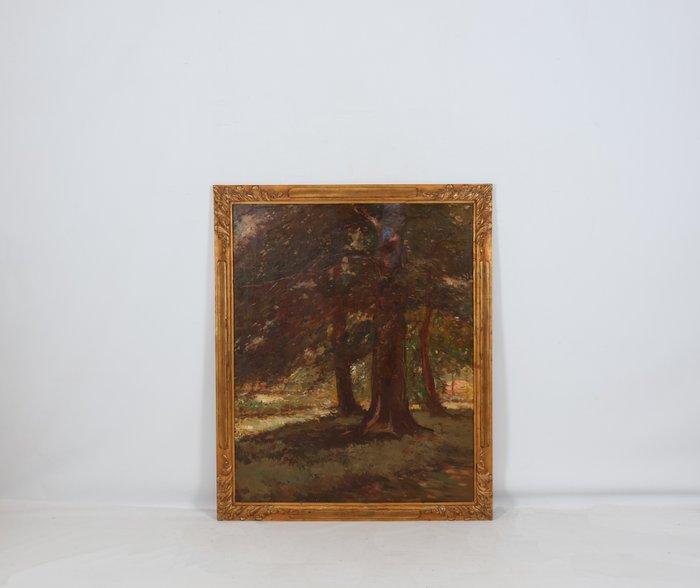 Frans Slager (1876-1953) - Bosgezicht, Antiek en Kunst, Kunst | Schilderijen | Klassiek