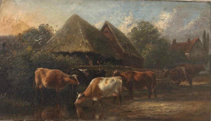 D. Muller (XX) - Vee graast aan de waterkant, Antiek en Kunst, Kunst | Schilderijen | Klassiek