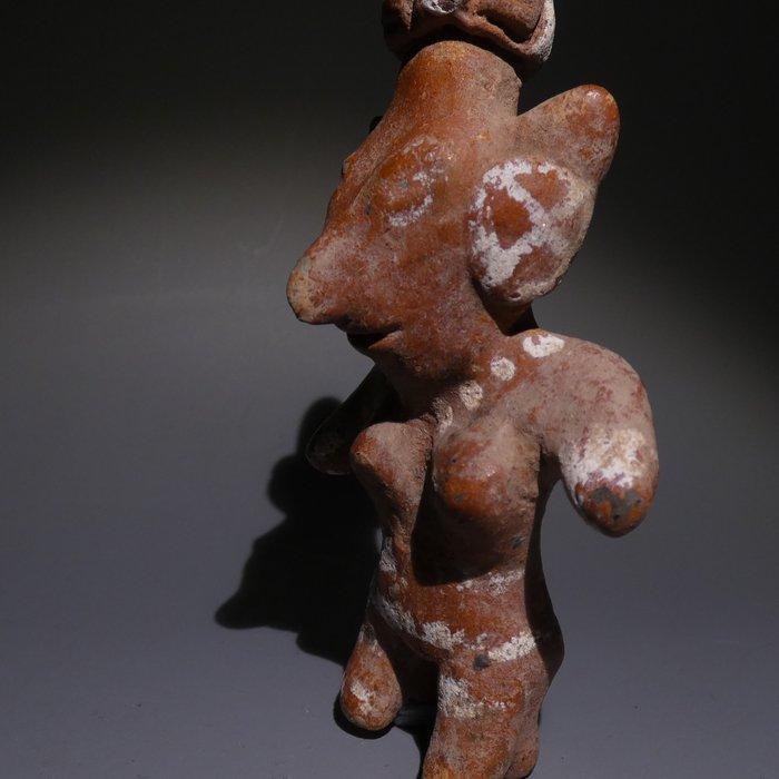 Nayarit, Westkust Mexico, 100 v.Chr. - 200 n.Chr. Terracotta, Verzamelen, Mineralen en Fossielen