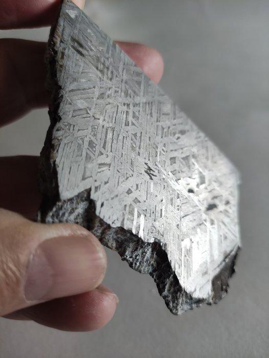 Aletai meteoriet IJzer meteoriet - Hoogte: 87.3 mm -, Verzamelen, Mineralen en Fossielen