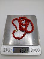 Bloedkoraal Koraal - Corallium rubrum (Zonder Minimumprijs), Verzamelen