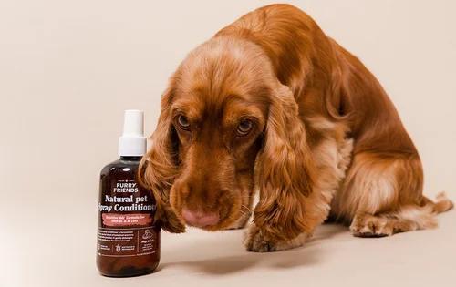 REF Furry Friends Spray Conditioner (Leave-in Conditioner), Bijoux, Sacs & Beauté, Beauté | Soins des cheveux, Envoi