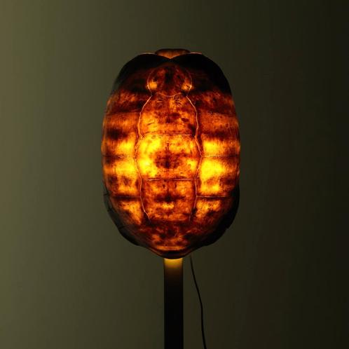 Panterschildpad Lamp Taxidermie Opgezette Dieren By Max, Collections, Collections Animaux, Enlèvement ou Envoi