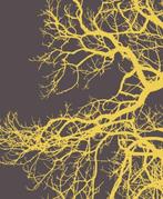 Bosk 9789464710731 Bruno Doedens, Boeken, Verzenden, Gelezen, Bruno Doedens