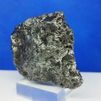 -SANS PRIX DE RESERVE- METEORITE DE FER XL Campo del Cielo