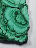 Malachite Forme libre - Hauteur : 14,5 cm- 333 g, Verzamelen, Mineralen en Fossielen
