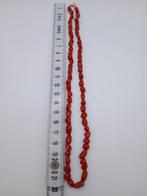 Bloedkoraal Koraal - Corallium rubrum (Zonder Minimumprijs), Antiek en Kunst