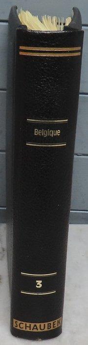 Belgique 1984/2000 - Album fort complet de TP Schaubek - COB