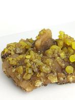 PIÈCE UNIQUE Soufre sur Aragonite avec Bitume (Mine Cozzo