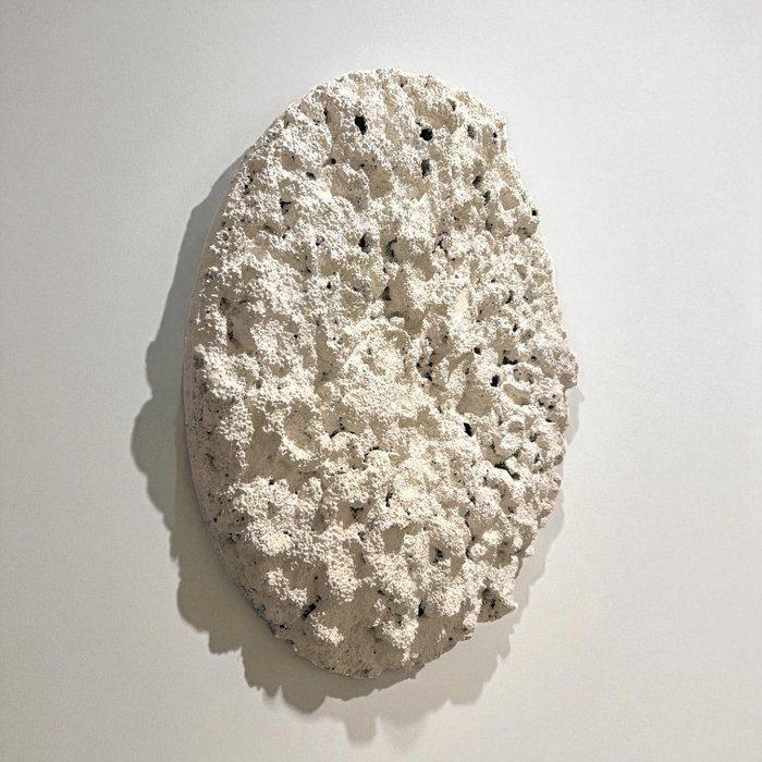 Bart Stillekens - Untitled, Antiek en Kunst, Kunst | Schilderijen | Modern