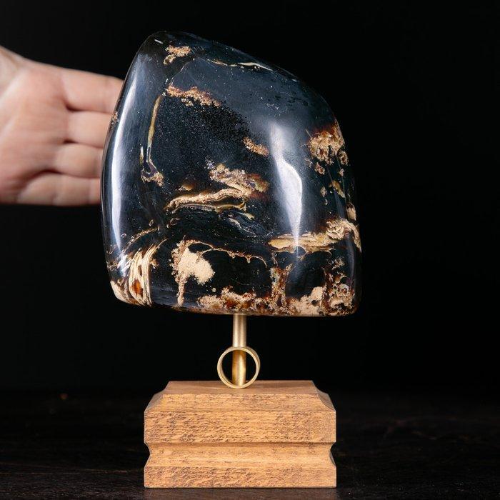 Fossiele barnsteenmonster uit Sumatra - Zeldzaam exemplaar, Verzamelen, Mineralen en Fossielen