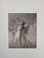 Edward Steichen - Lillian Gish as Ophelia, Connecticut.