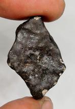 Benenitra - Chondriet L6-meteoriet, glanzende korst 98% -