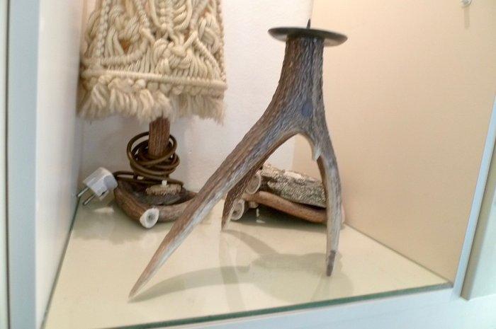 Hert Gewei - Cervus elaphus - 36 cm - 21 cm - 24 cm - (3), Antiquités & Art, Curiosités & Brocante