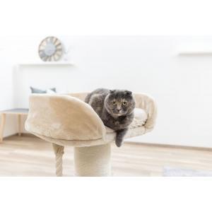 Arbre à chat toni xl, beige, 58 x 58 x 92 cm, Animaux & Accessoires, Accessoires pour chats