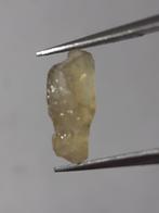 Natural Yellow Apatite - 1.76 ct - Rough Gemstone - unheated, Verzenden