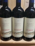 2023 Tenuta San Guido, Le Difese - Toscane IGT - 6, Collections